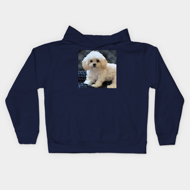 Maltipoo Love. Beautiful little dog with long silky white hair. Kids Hoodie by KarenZukArt